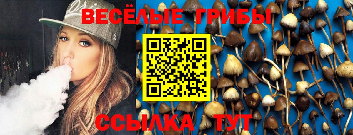 Галлюциногенные грибы мицелий  Псилоцибиновые грибы GOLDEN TEACHER  Магадан  Вход с VPN 